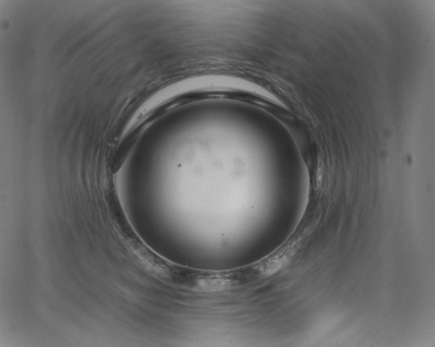 X0000066100470200603101145