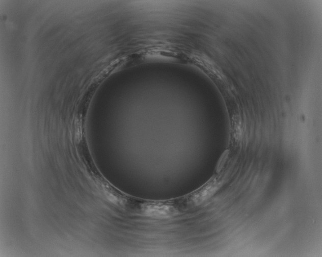 X0000066100471200603101145