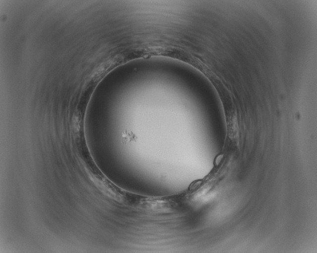 X0000066100472200603101145