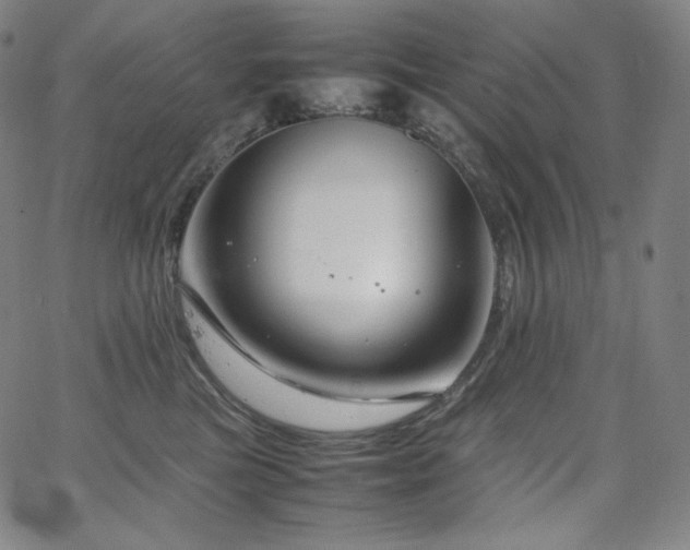 X0000066100473200603101146