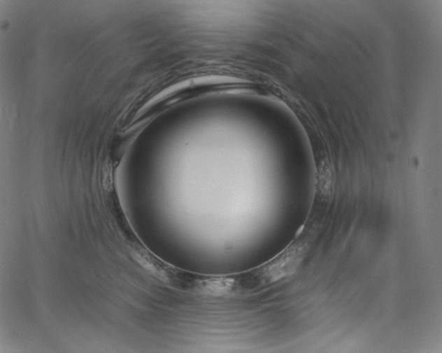 X0000066100474200603101146