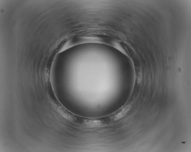 X0000066100476200603101146