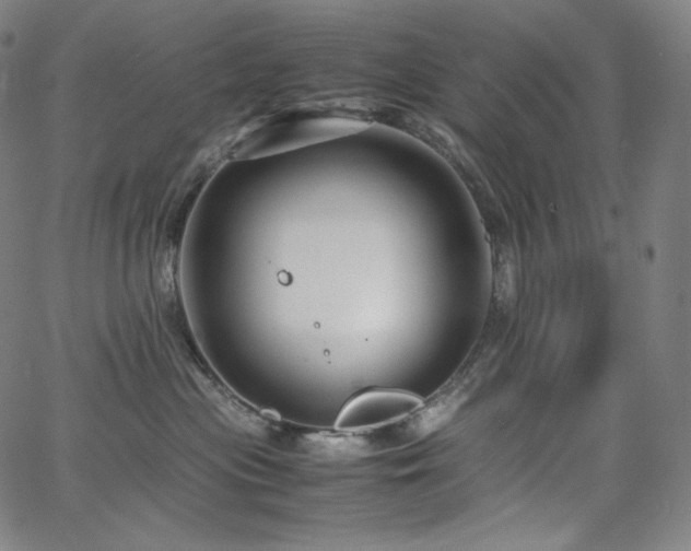 X0000066100477200603101146