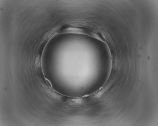 X0000066100478200603101146