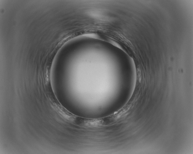 X0000066100479200603101146