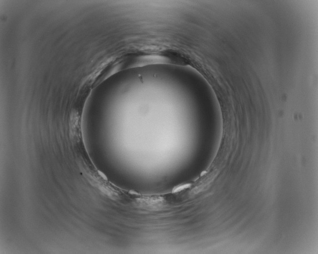 X0000066100480200603101146