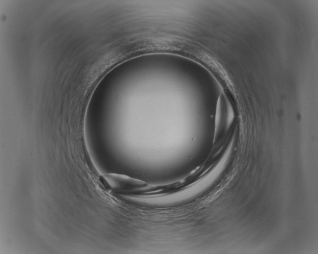 X0000066100481200603101145