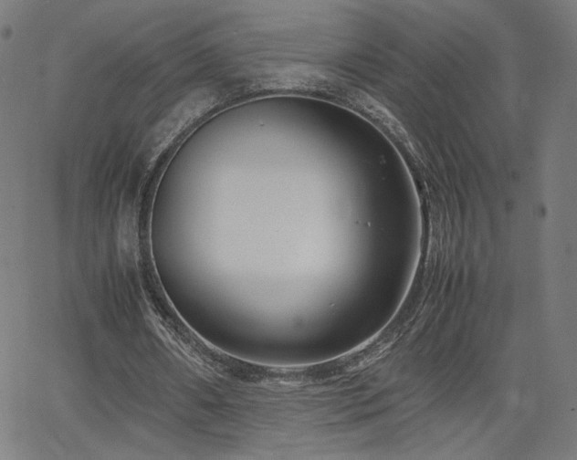 X0000066100482200603101145