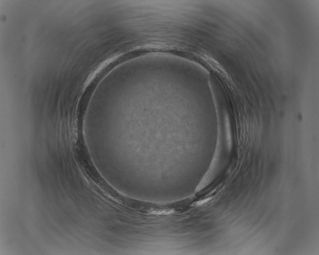 X0000066100484200603101145