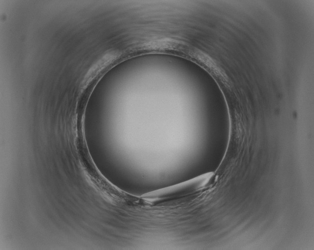 X0000066100486200603101145