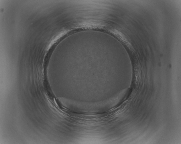 X0000066100488200603101145