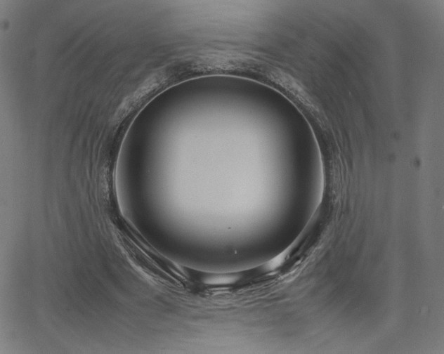 X0000066100489200603101145