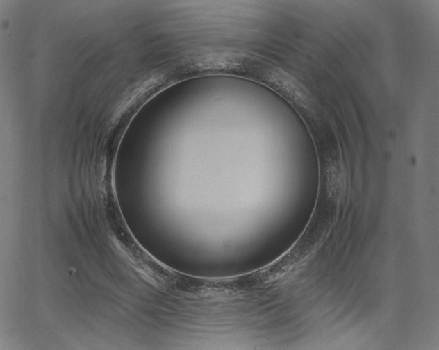 X0000066100490200603101145