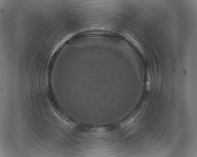 X0000066100492200603101145