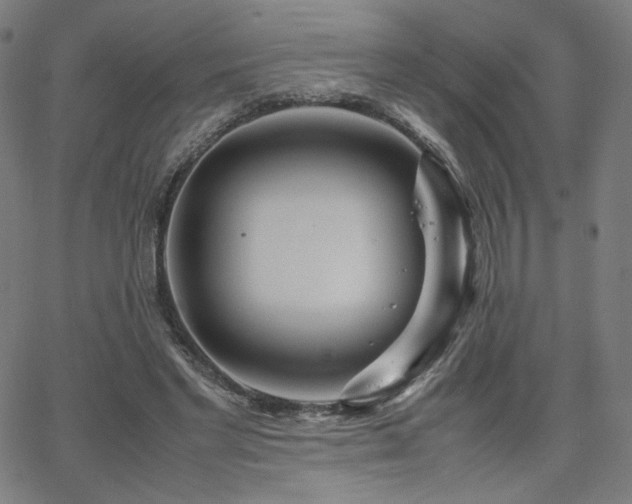 X0000066100493200603101145