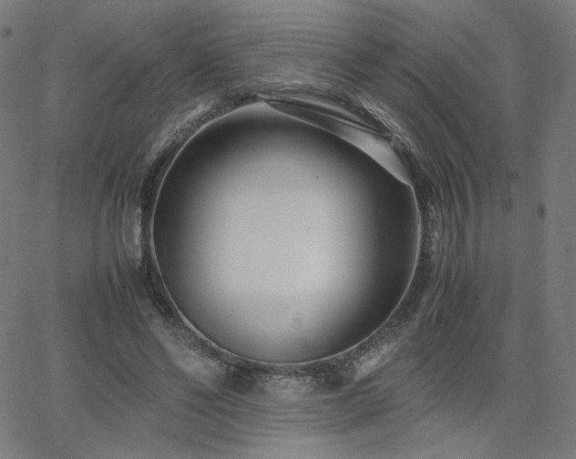 X0000066100494200603101145