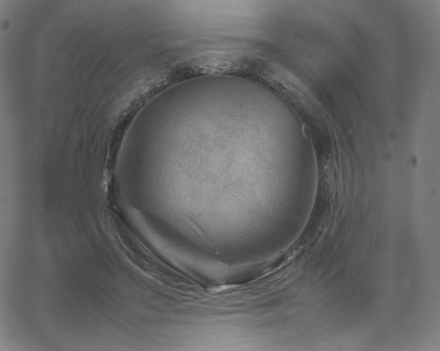 X0000066100499200603101145