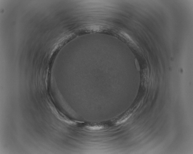 X0000066100500200603101145