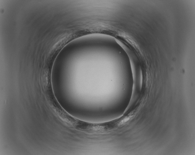 X0000066100501200603101144