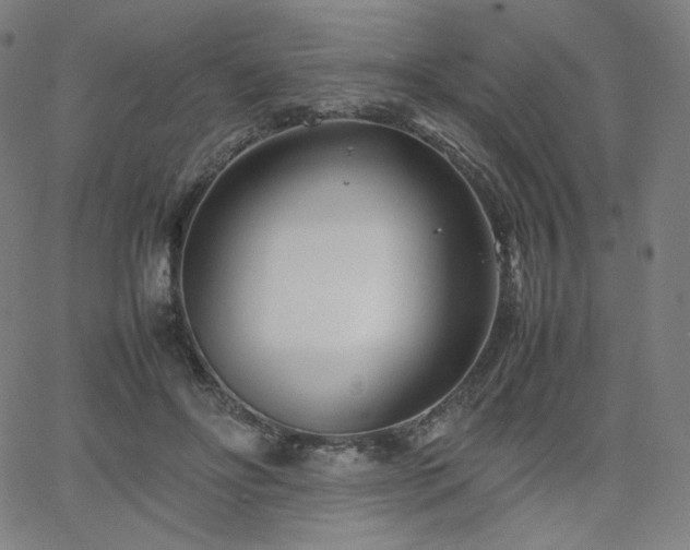 X0000066100502200603101144