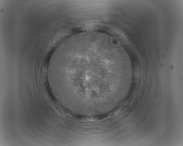 X0000066100503200603101144