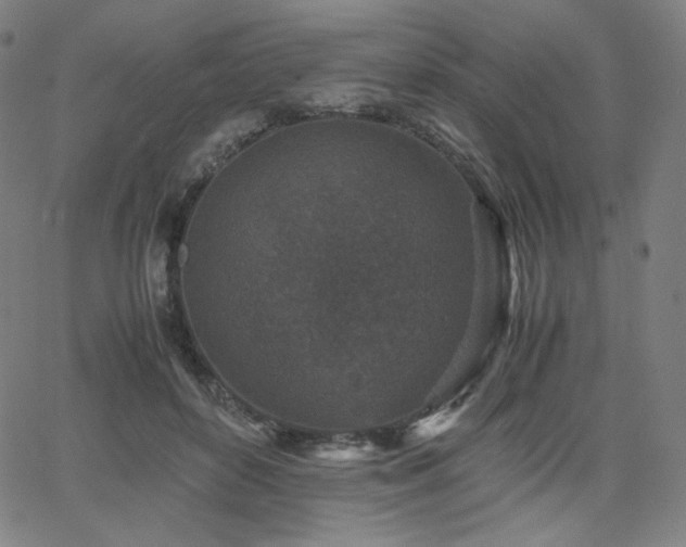 X0000066100504200603101144