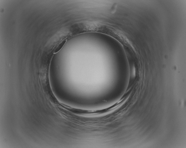 X0000066100505200603101144