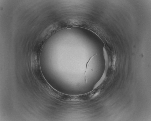 X0000066100506200603101144