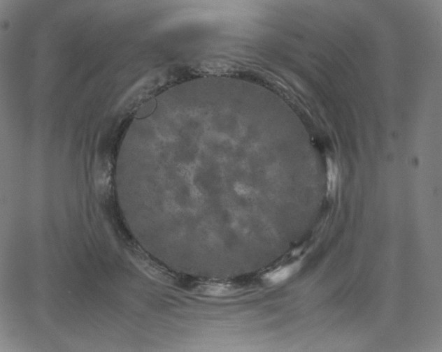 X0000066100507200603101144