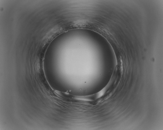 X0000066100508200603101144