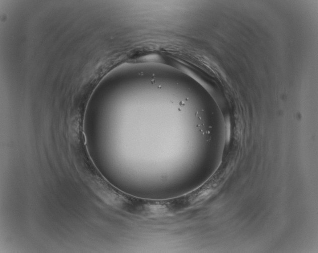 X0000066100509200603101144