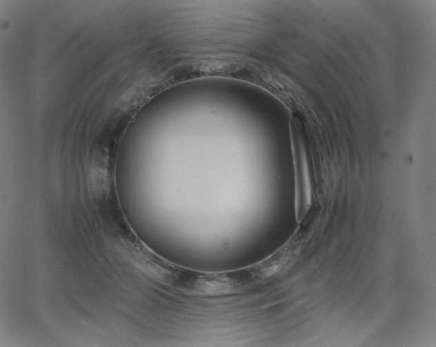 X0000066100510200603101144