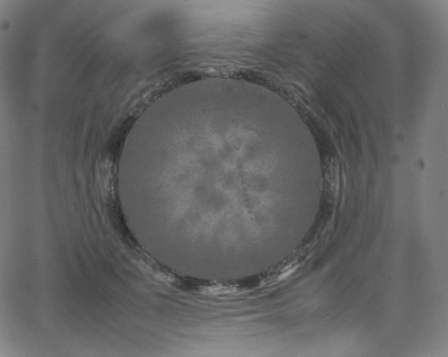 X0000066100511200603101144