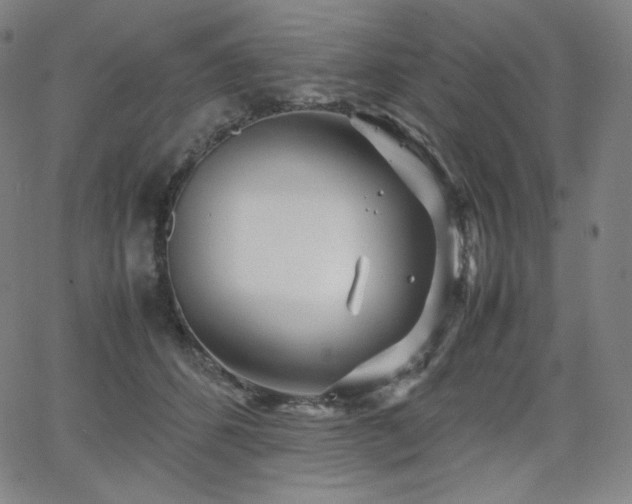 X0000066100512200603101144