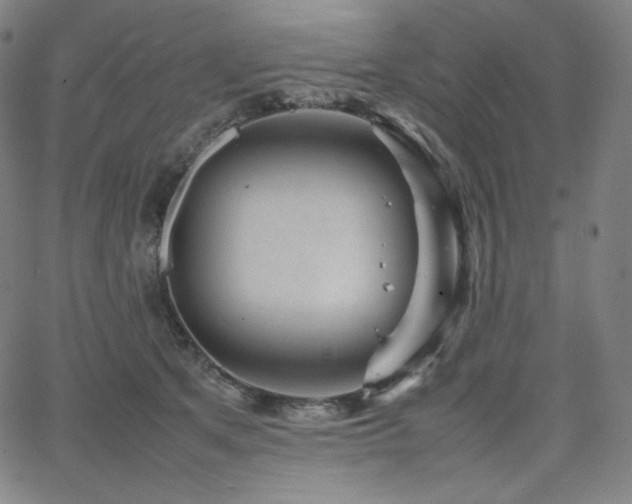 X0000066100513200603101144