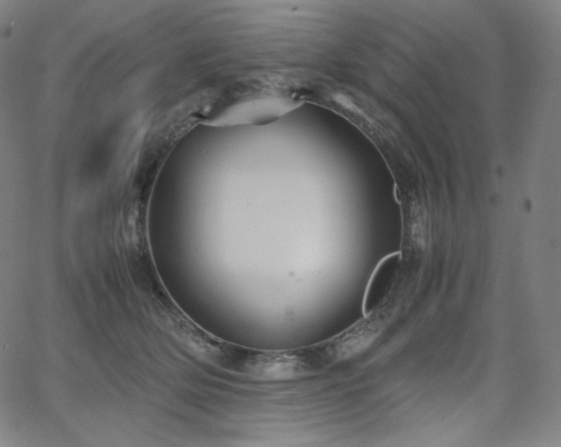 X0000066100514200603101144