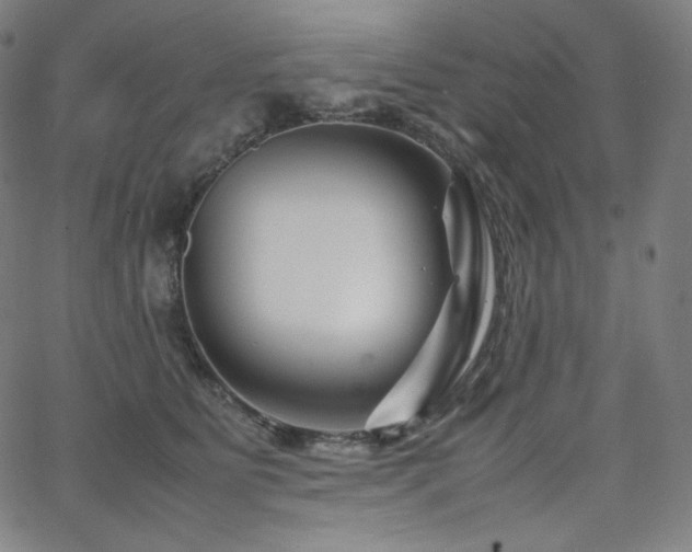 X0000066100515200603101144