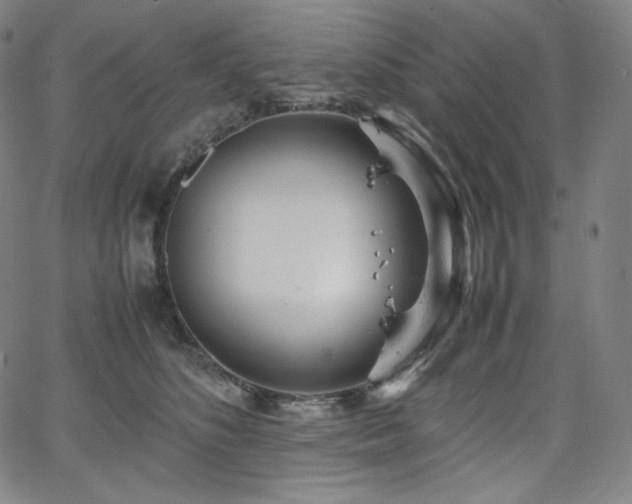 X0000066100516200603101144