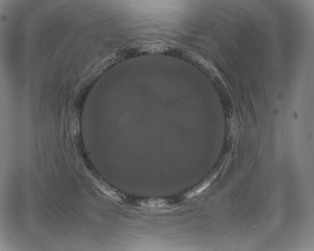 X0000066100517200603101144