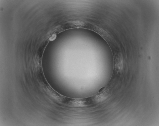 X0000066100518200603101144