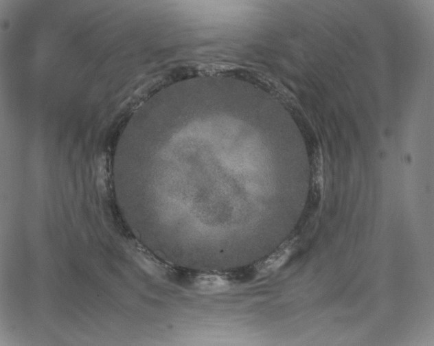 X0000066100519200603101144