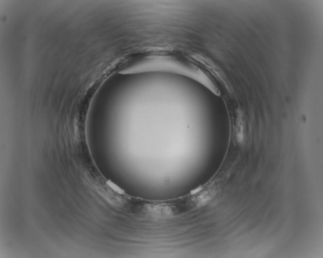 X0000066100520200603101144