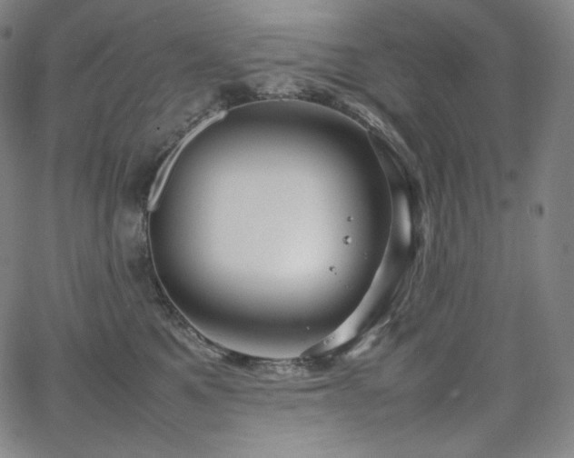 X0000066100521200603101144