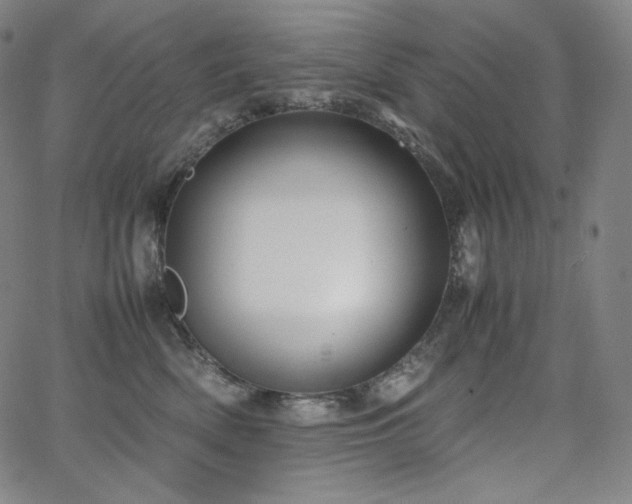 X0000066100522200603101144