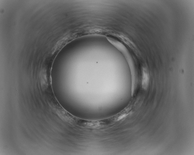 X0000066100524200603101144