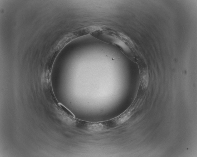 X0000066100525200603101144