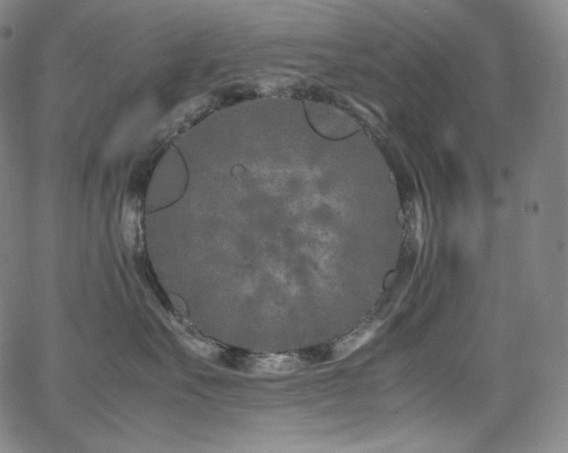 X0000066100527200603101144