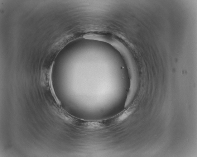 X0000066100528200603101144