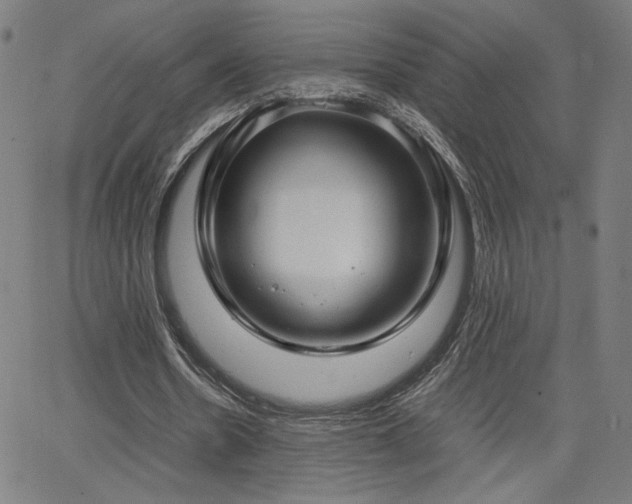 X0000066100530200603101143