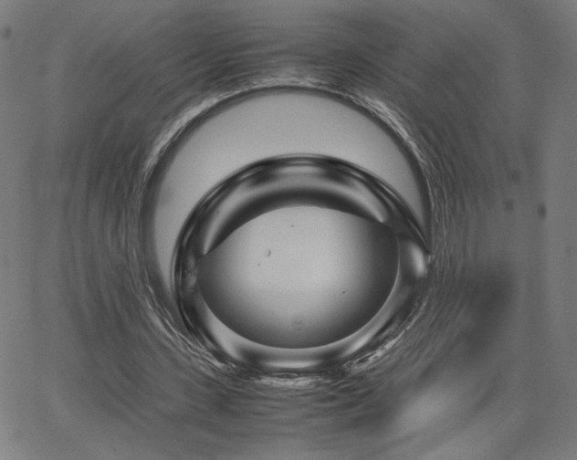 X0000066100531200603101143